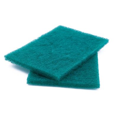 Nylon Kitchen Scouring Pad Sustainable Dish Washing Sponge 15*10*0.8cm